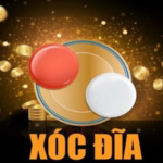 Hướng dẫn phương pháp chơi Xóc Đĩa tại 8xbet với các mẹo và chiến lược hiệu quả